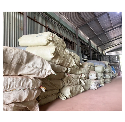 LƯỚI SẤP TRẮNG